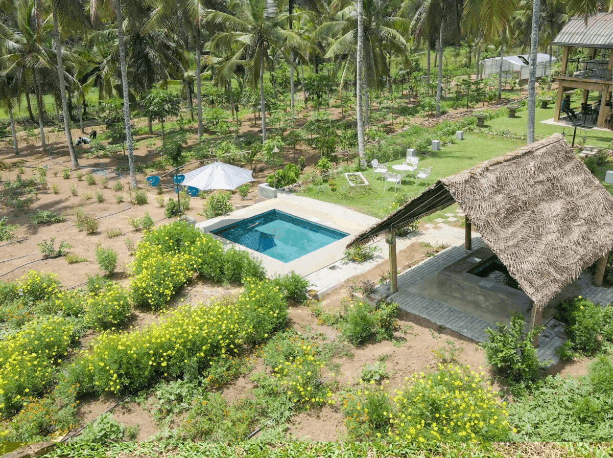 Where Nature, Culture, and Sustainable Living Come Together deep content
